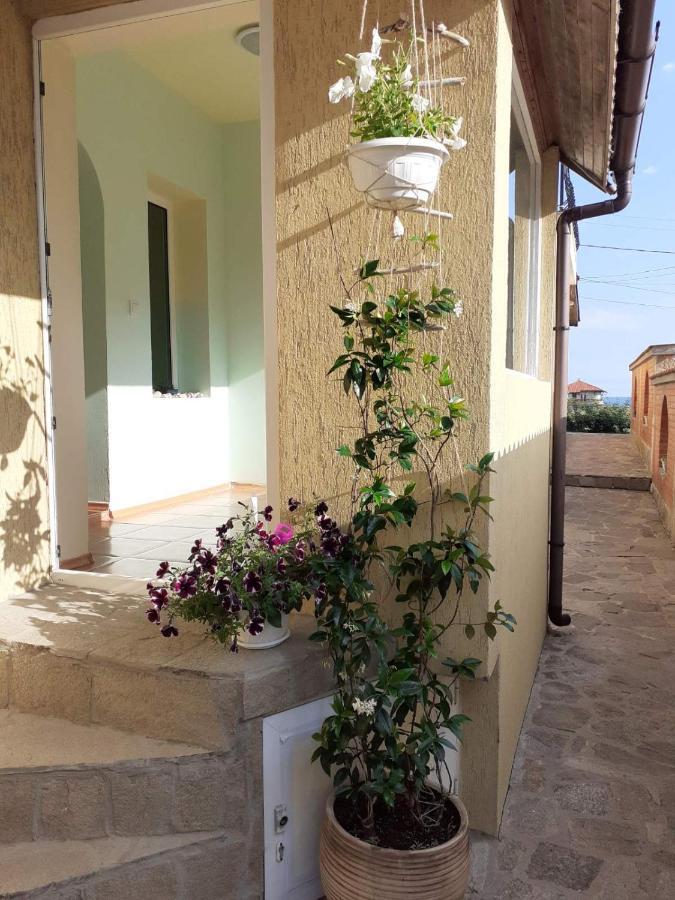 Amour Bleu - Синя Лю-Бо-В Sinemoreț Exterior foto